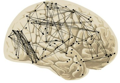 Brain network