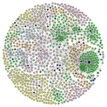 Complexité et Politique